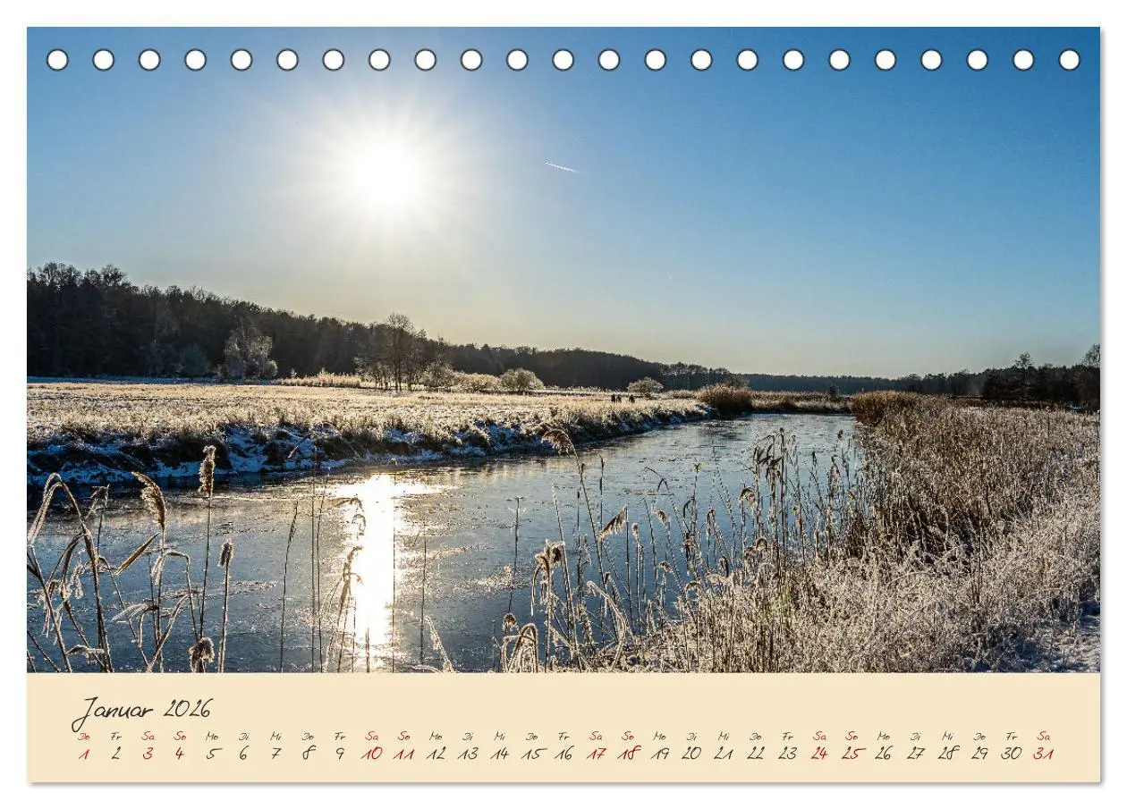 Bild: 9783457596883 | Friedländer Große Wiese (Tischkalender 2026 DIN A5 quer), CALVENDO...