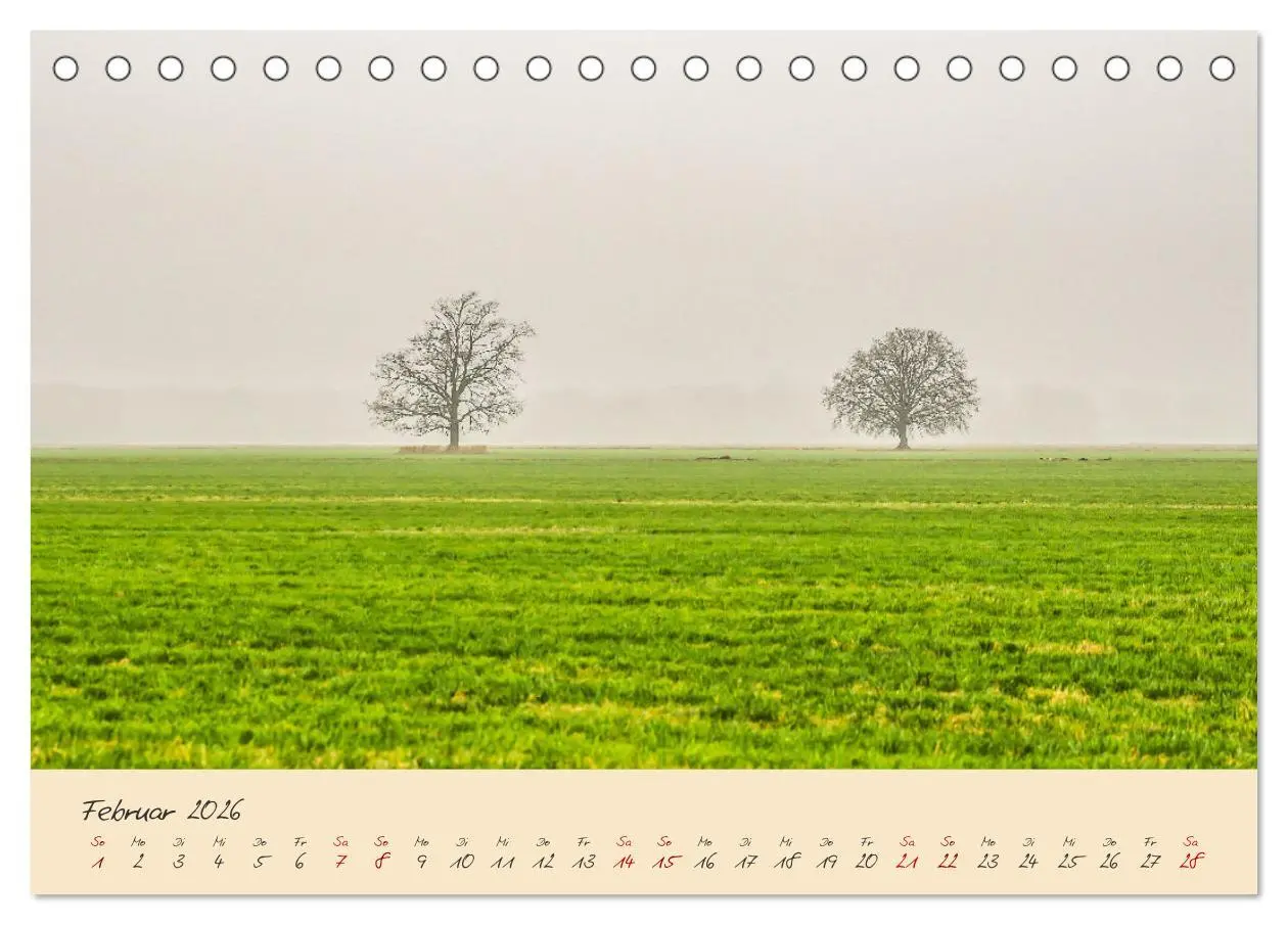 Bild: 9783457596883 | Friedländer Große Wiese (Tischkalender 2026 DIN A5 quer), CALVENDO...