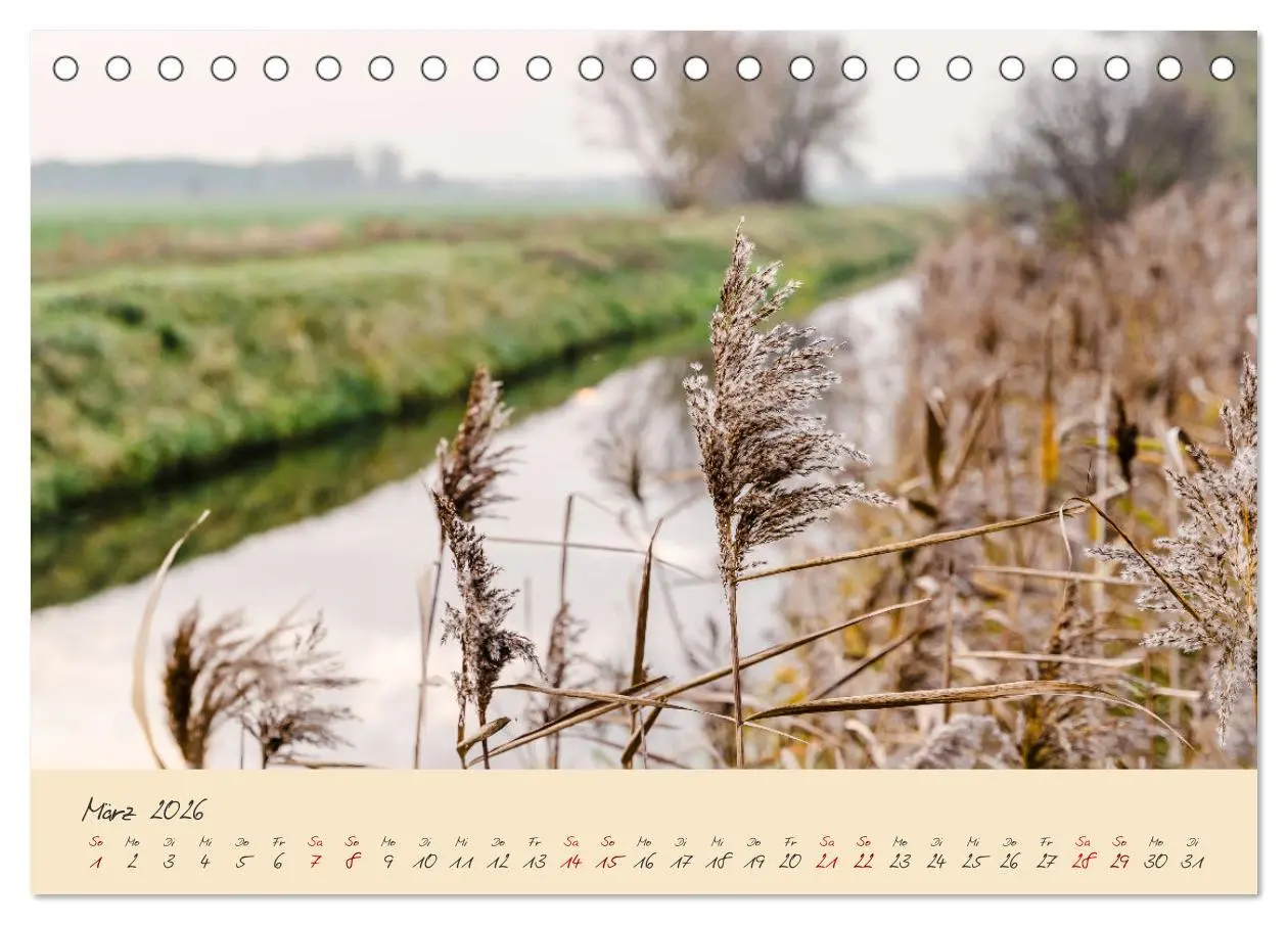 Bild: 9783457596883 | Friedländer Große Wiese (Tischkalender 2026 DIN A5 quer), CALVENDO...