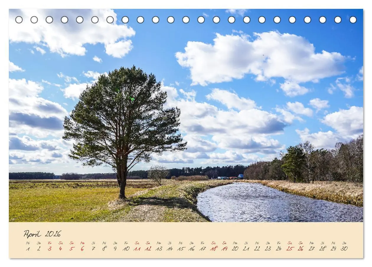 Bild: 9783457596883 | Friedländer Große Wiese (Tischkalender 2026 DIN A5 quer), CALVENDO...