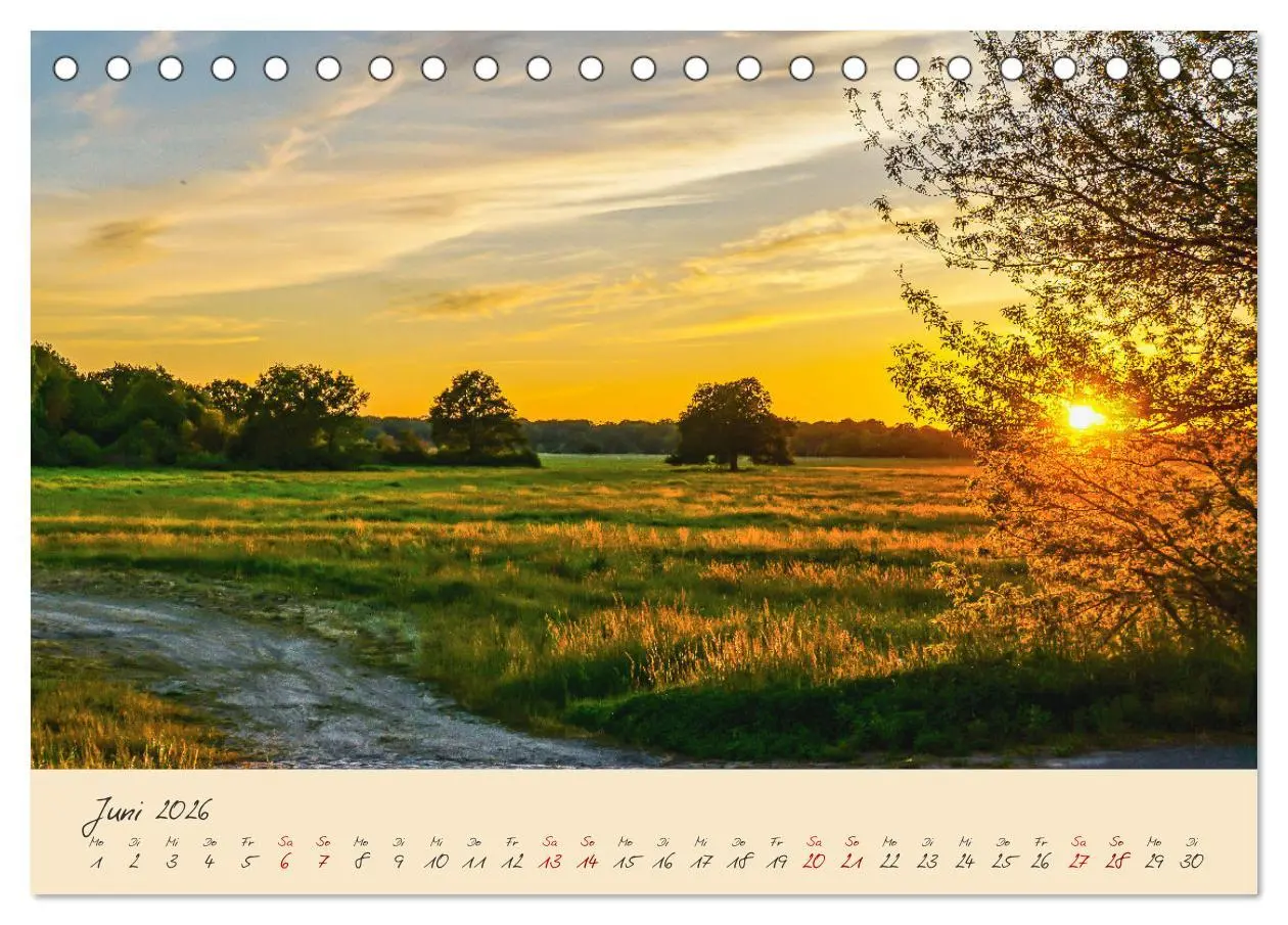 Bild: 9783457596883 | Friedländer Große Wiese (Tischkalender 2026 DIN A5 quer), CALVENDO...