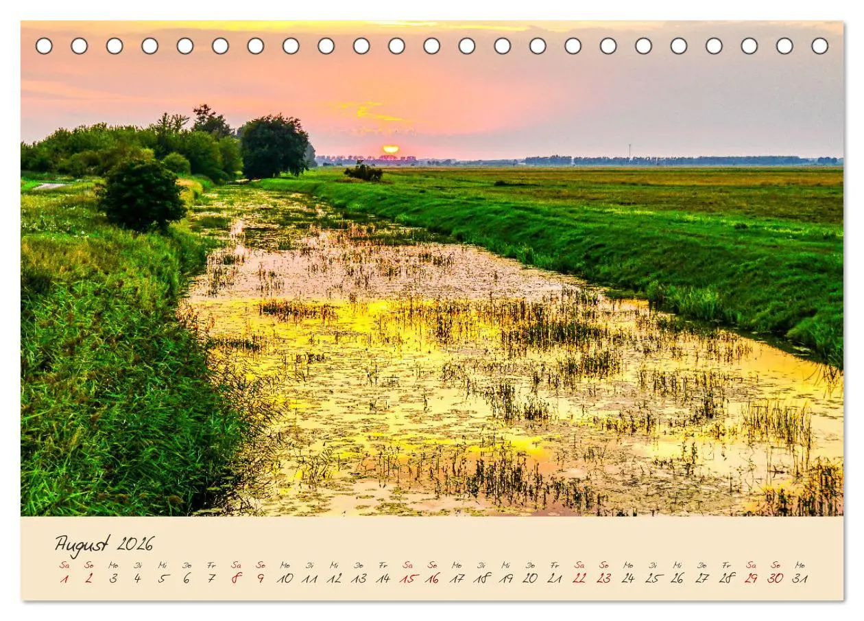 Bild: 9783457596883 | Friedländer Große Wiese (Tischkalender 2026 DIN A5 quer), CALVENDO...