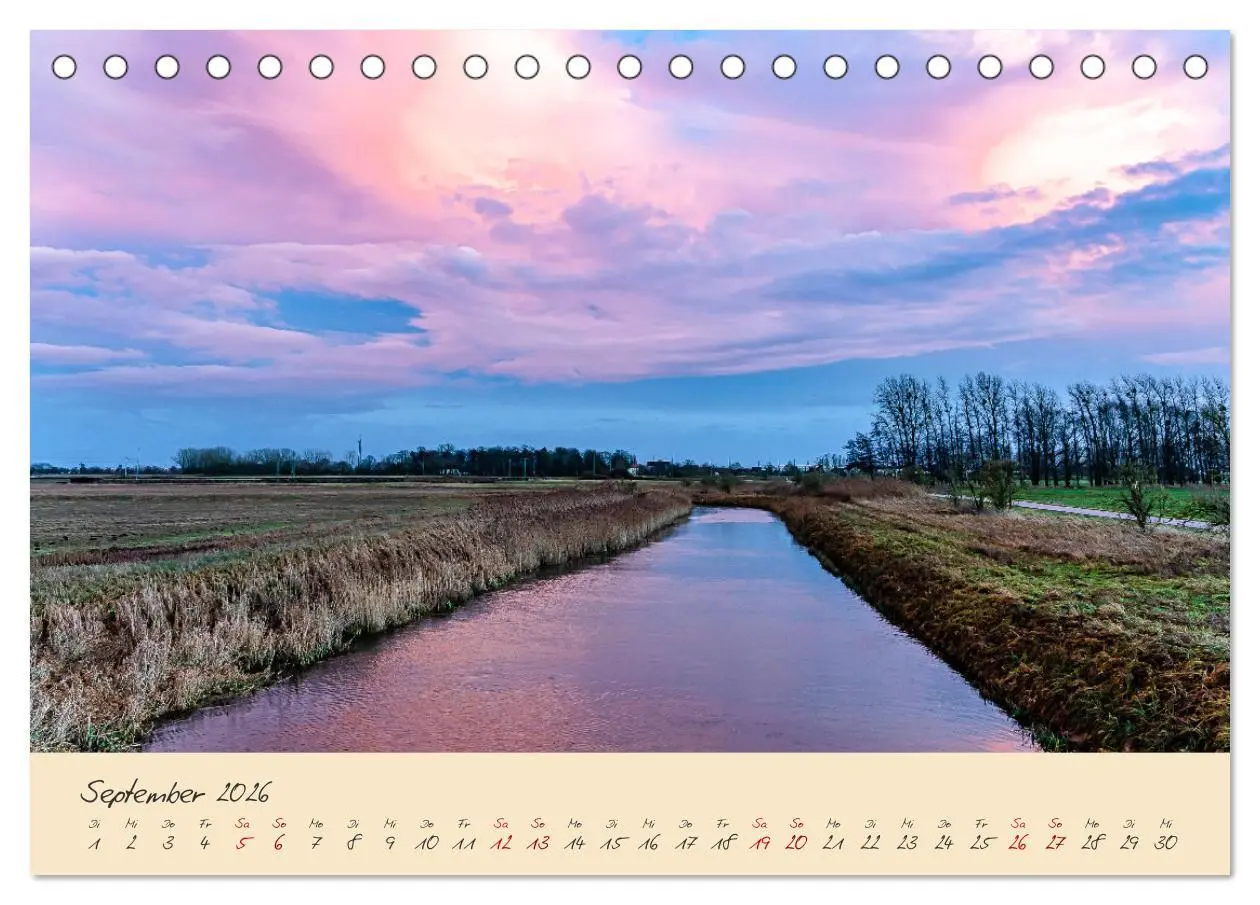Bild: 9783457596883 | Friedländer Große Wiese (Tischkalender 2026 DIN A5 quer), CALVENDO...