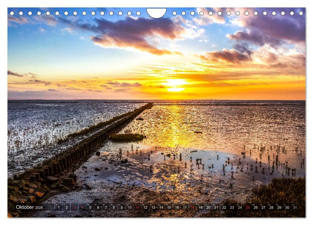Bild: 9783457736883 | OSTFRIESLAND-LIEBE (Wandkalender 2026 DIN A4 quer), CALVENDO...
