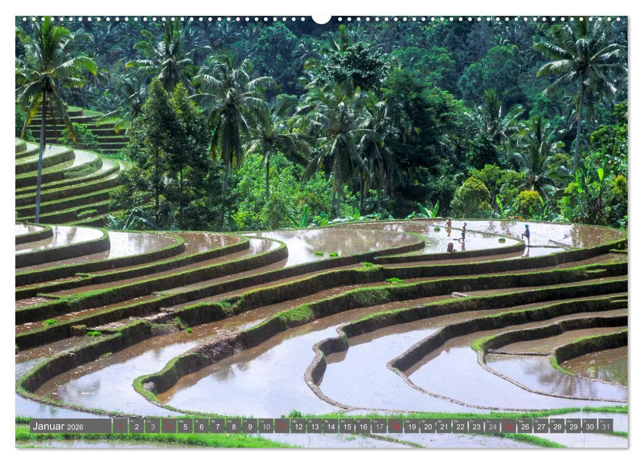 Bild: 9783516066883 | Peter Fischer - Bali 2026 (hochwertiger Premium Wandkalender 2026...