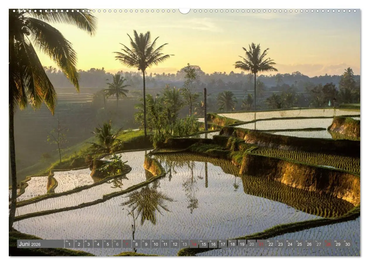 Bild: 9783516066883 | Peter Fischer - Bali 2026 (hochwertiger Premium Wandkalender 2026...