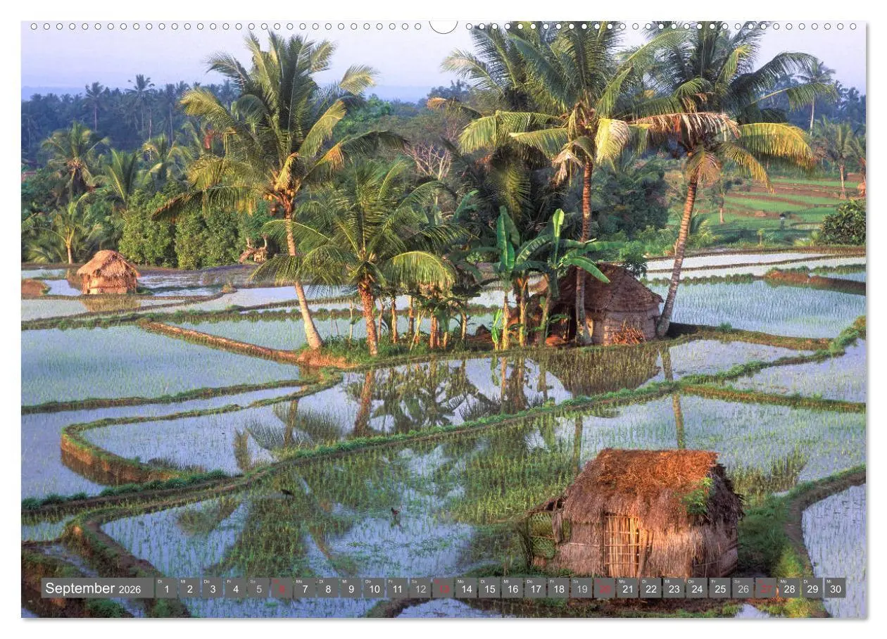 Bild: 9783516066883 | Peter Fischer - Bali 2026 (hochwertiger Premium Wandkalender 2026...