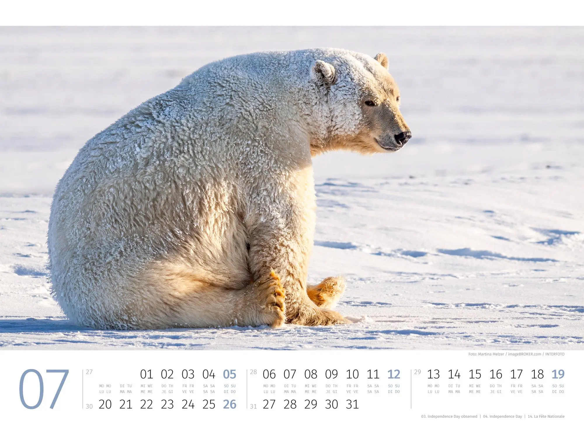 Bild: 9783838426983 | Eisbären Kalender 2026 | Ackermann Kunstverlag GmbH | Kalender | 14 S.