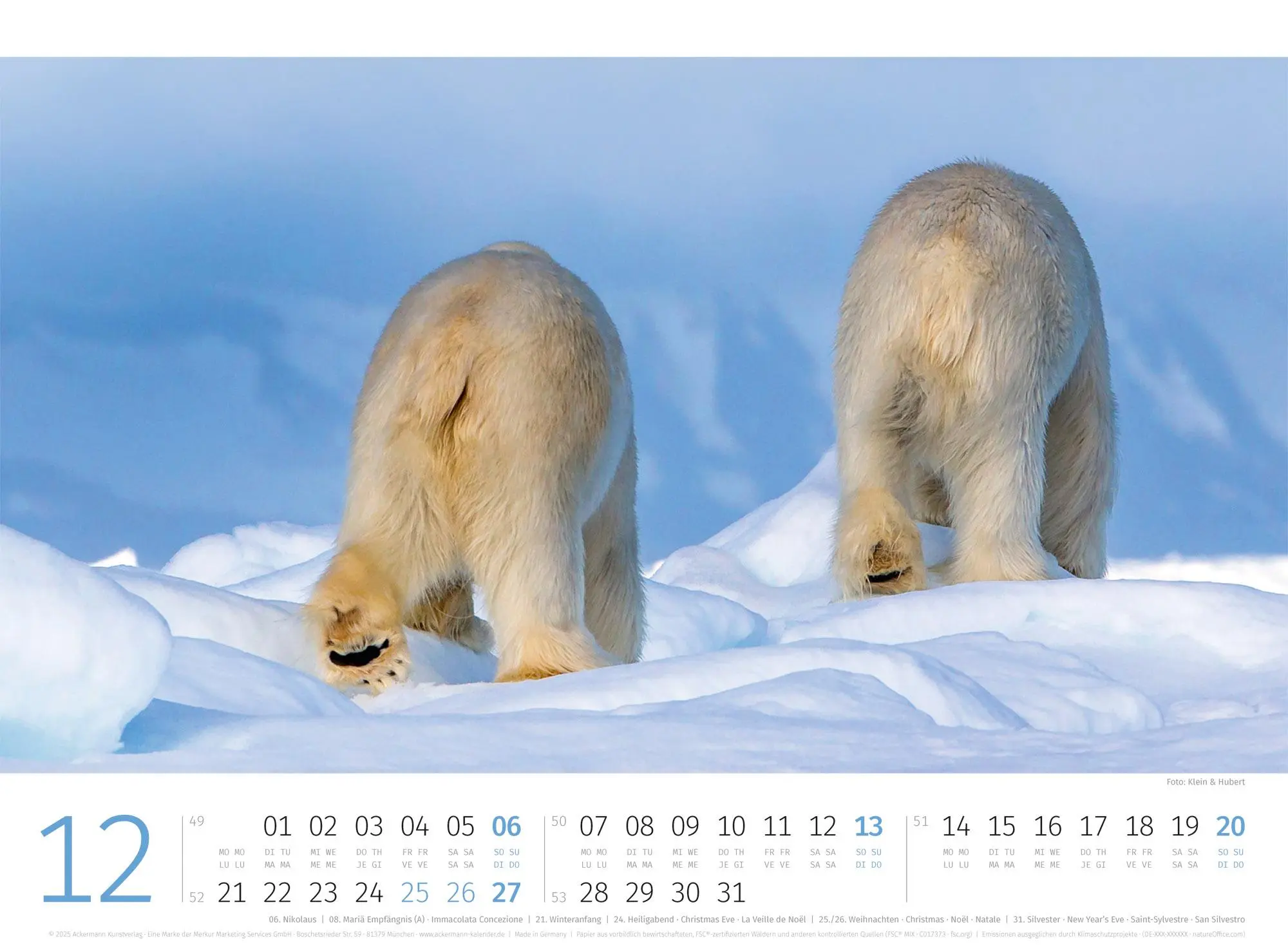 Bild: 9783838426983 | Eisbären Kalender 2026 | Ackermann Kunstverlag GmbH | Kalender | 14 S.