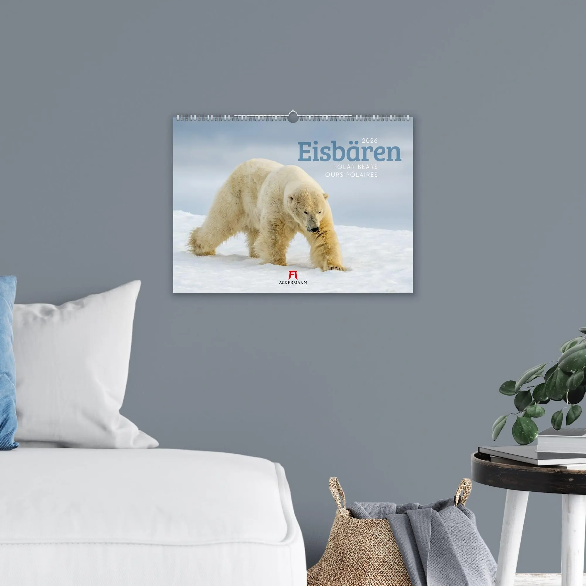 Bild: 9783838426983 | Eisbären Kalender 2026 | Ackermann Kunstverlag GmbH | Kalender | 14 S.