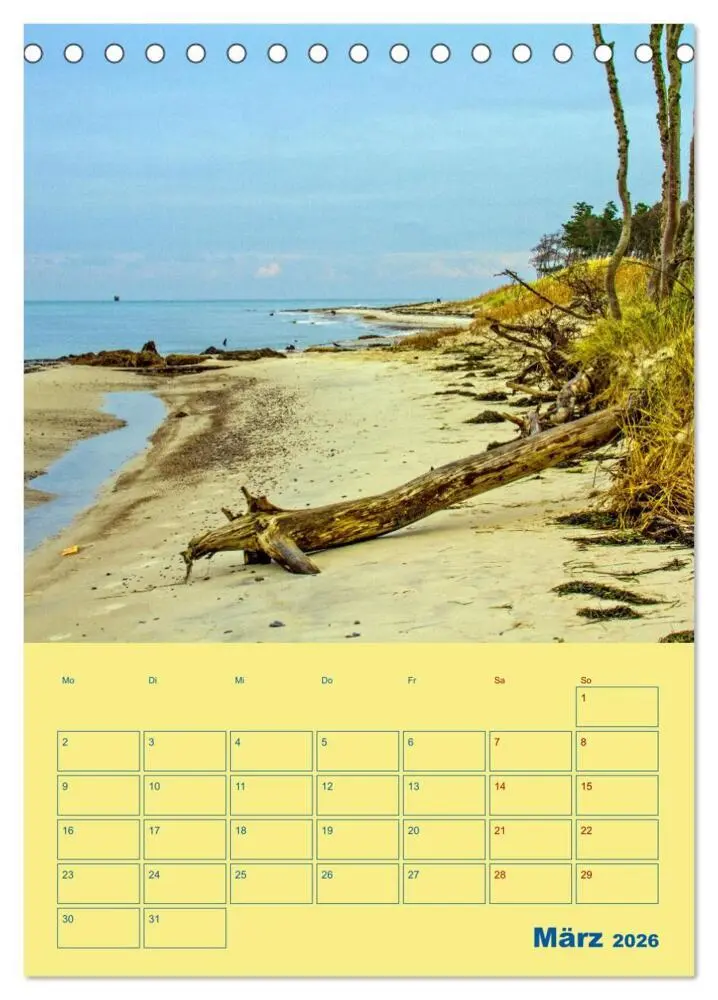 Bild: 9783516327083 | Sehnsuchtsort Fischland-Darß-Zingst (Tischkalender 2026 DIN A5...