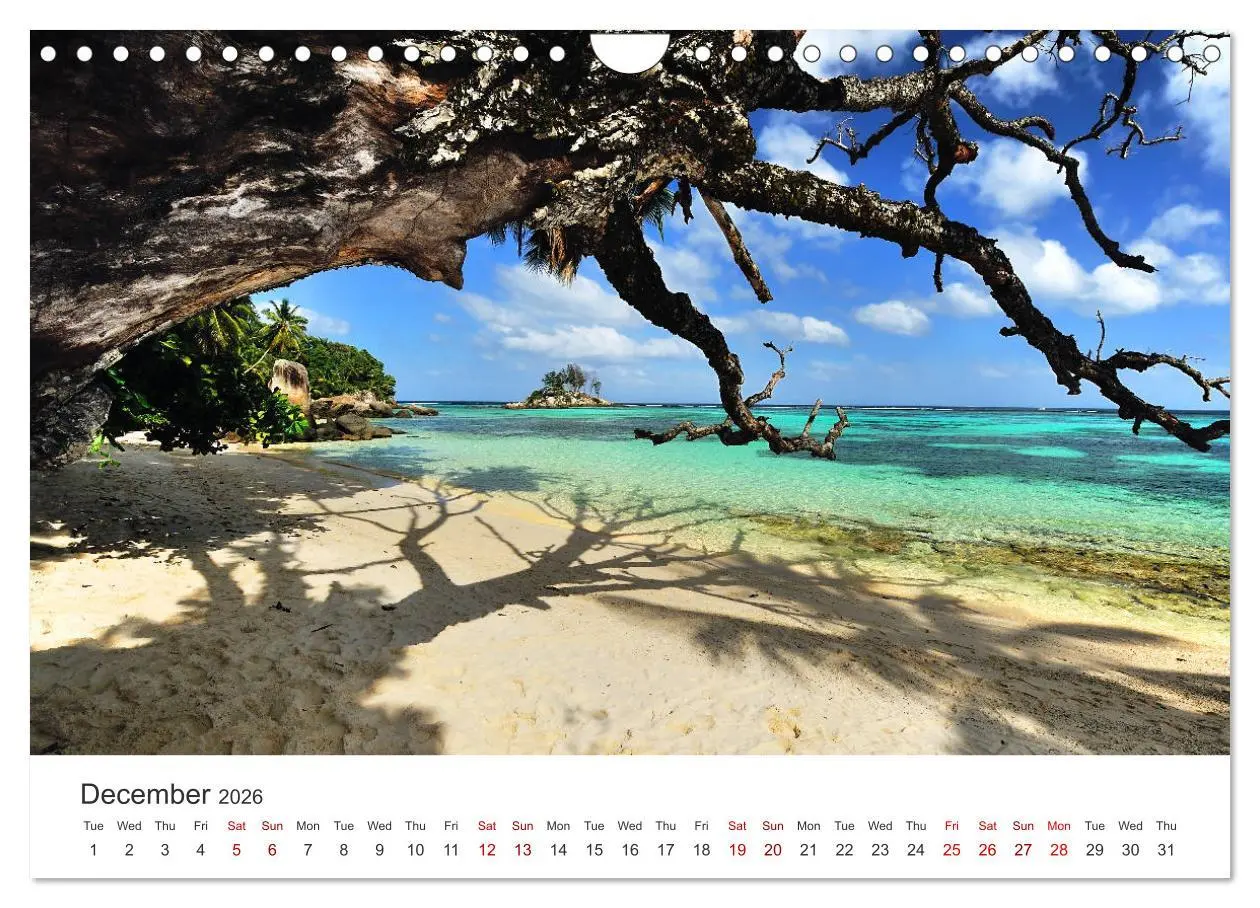 Bild: 9783516567083 | Dreamy Beaches of the Seychelles (Wall Calendar 2026 DIN A4...