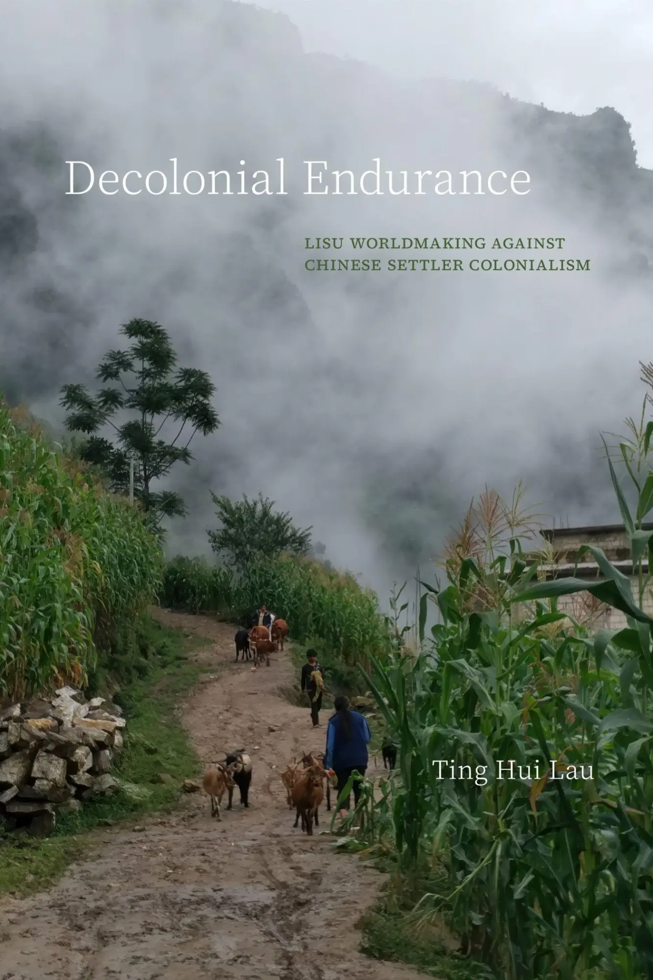 Cover: 9781503647183 | Decolonial Endurance | Ting Hui Lau | Taschenbuch | Englisch | 2026