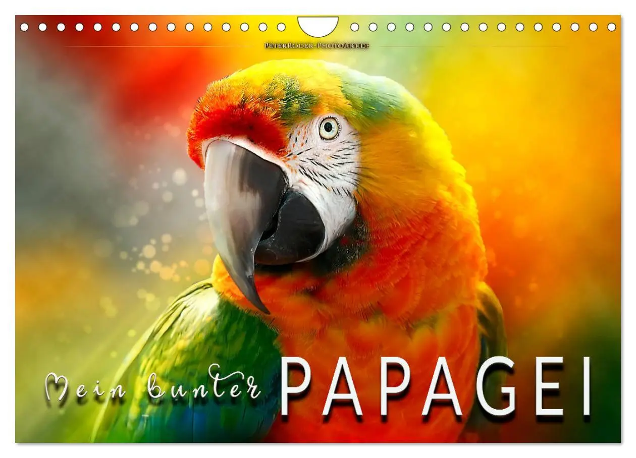 Cover: 9783457847183 | Mein bunter Papagei (Wandkalender 2026 DIN A4 quer), CALVENDO...