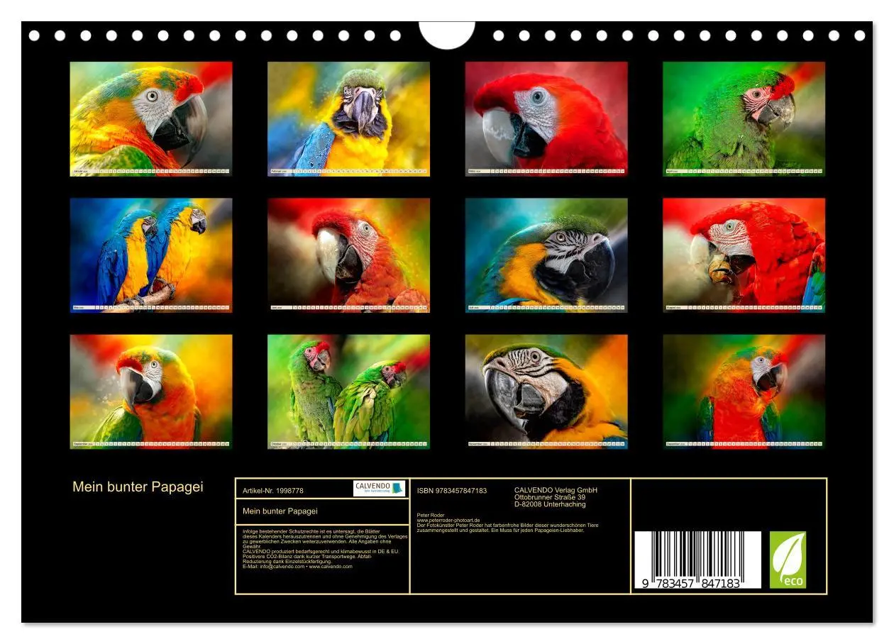 Bild: 9783457847183 | Mein bunter Papagei (Wandkalender 2026 DIN A4 quer), CALVENDO...