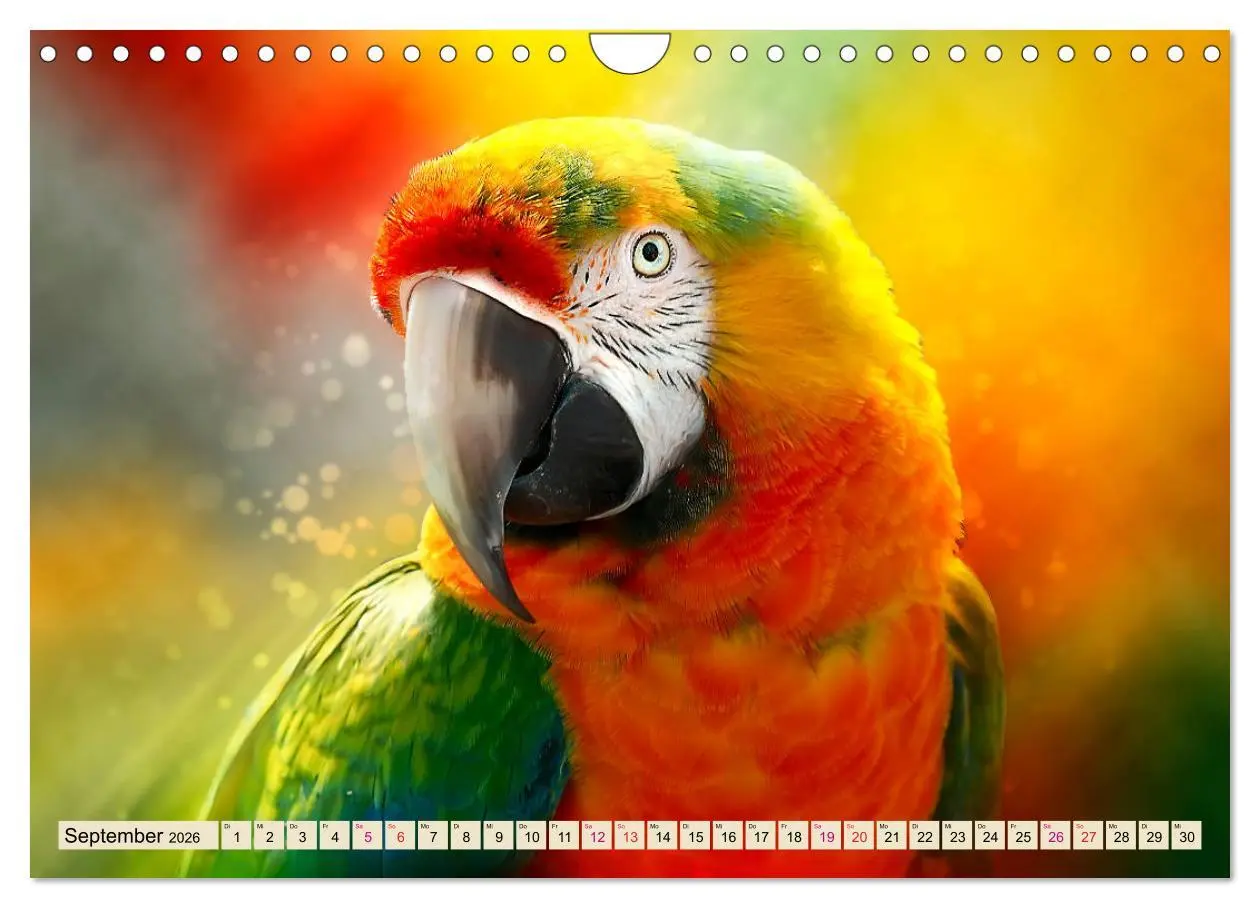 Bild: 9783457847183 | Mein bunter Papagei (Wandkalender 2026 DIN A4 quer), CALVENDO...