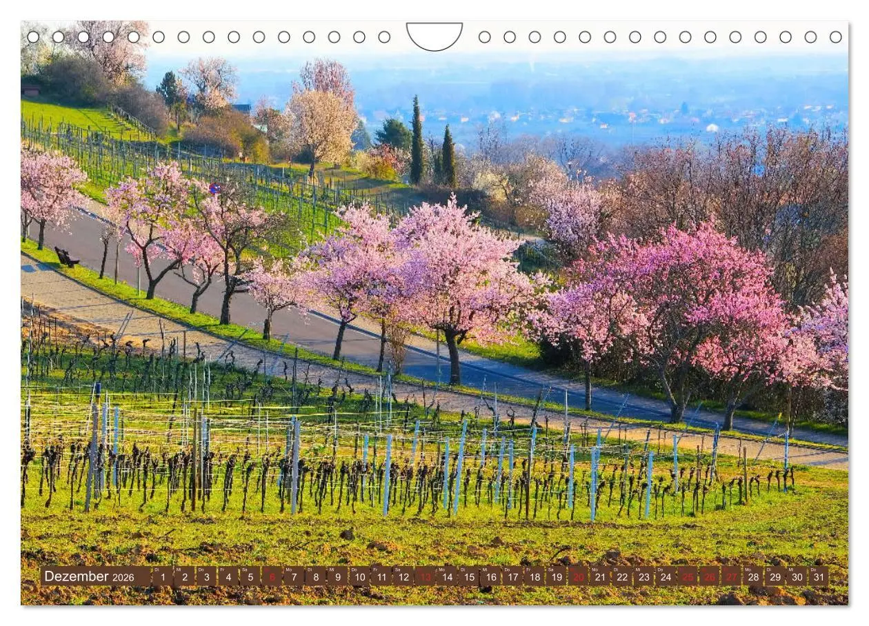 Bild: 9783457917183 | Gimmeldingen - Mandelblütenfest an der Deutschen Weinstraße...