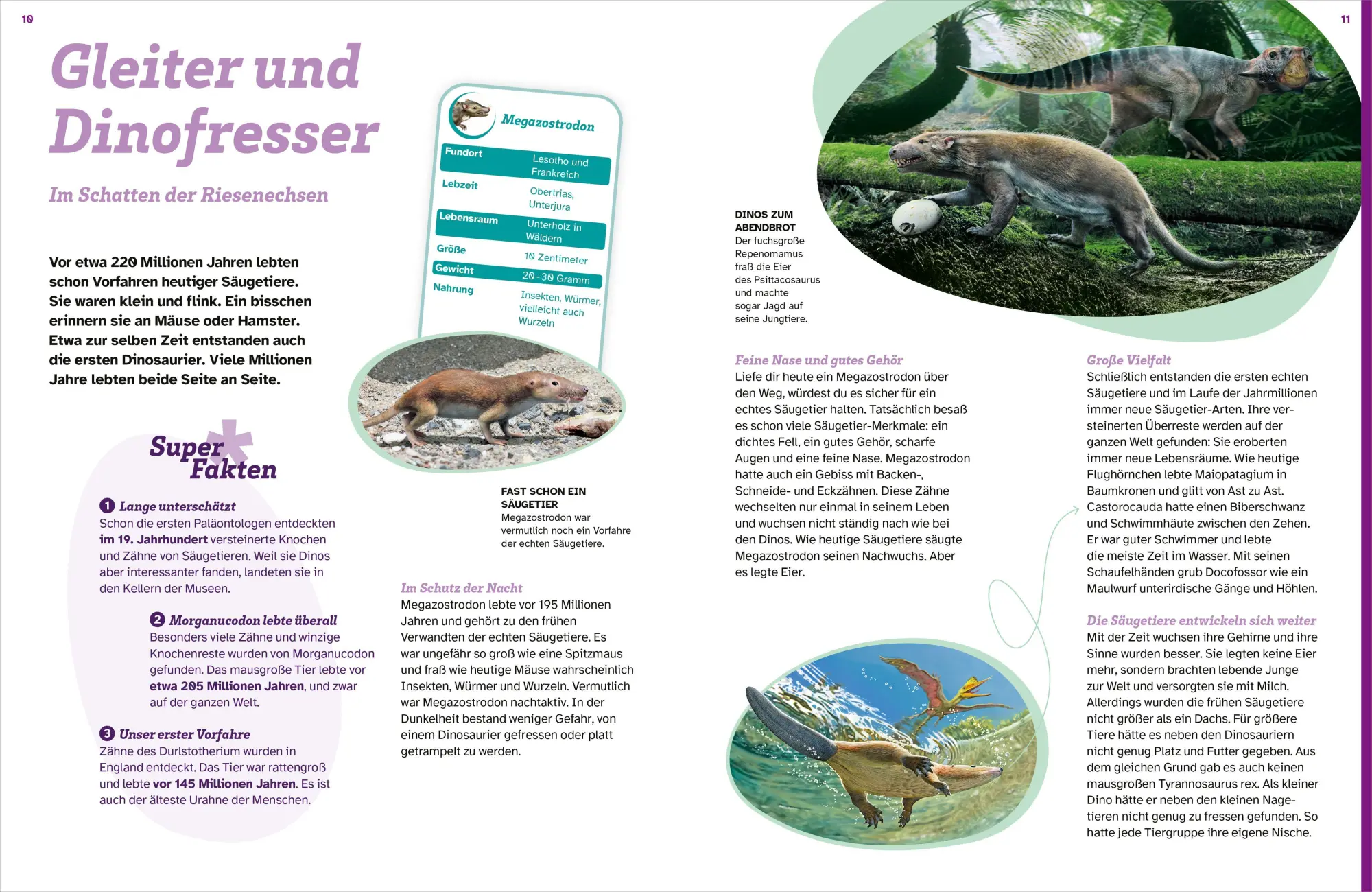 Bild: 9783788677183 | WAS IST WAS Säugetiere der Urzeit. Von Flughörnchen bis Mammut | Buch