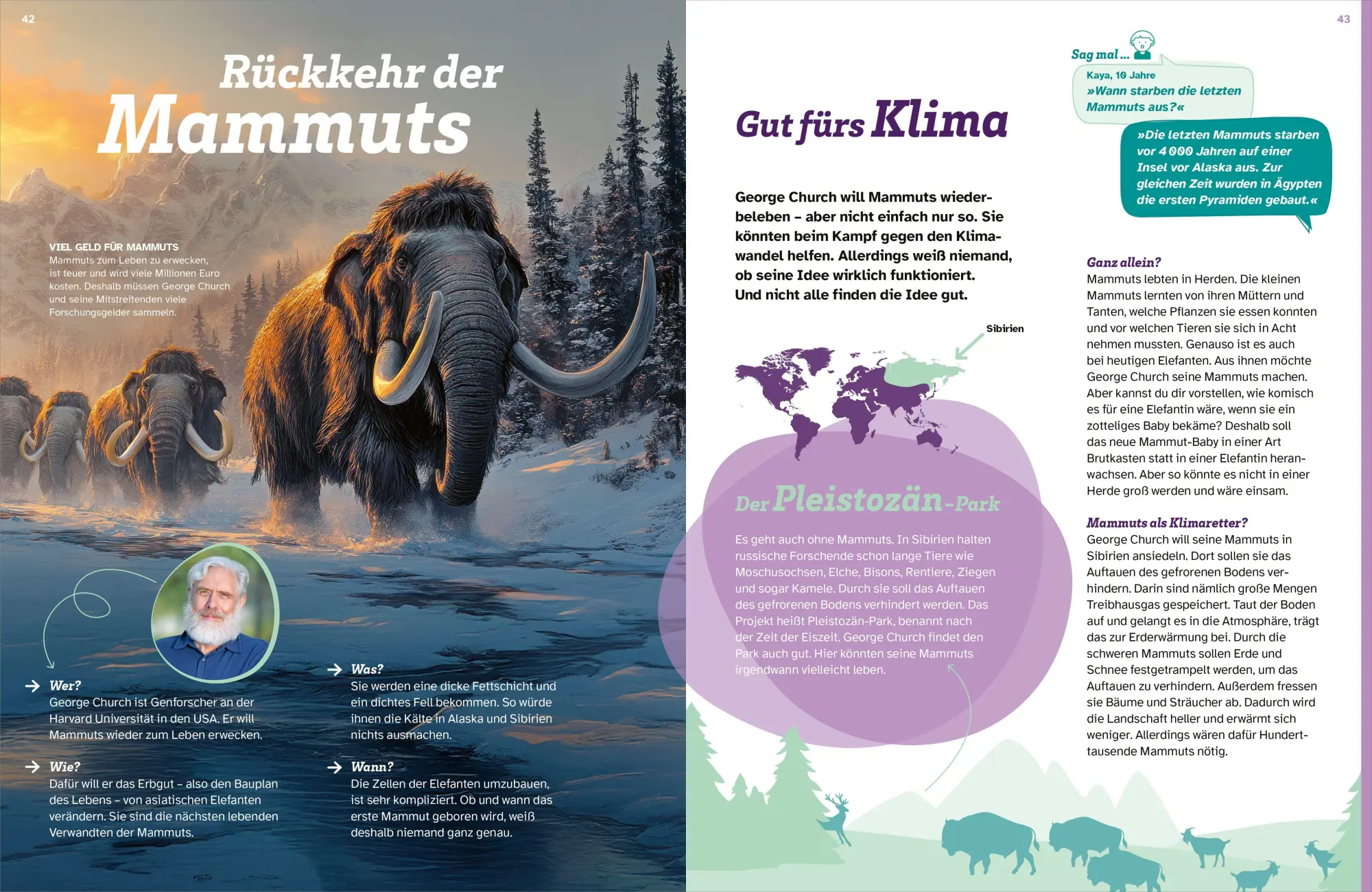 Bild: 9783788677183 | WAS IST WAS Säugetiere der Urzeit. Von Flughörnchen bis Mammut | Buch