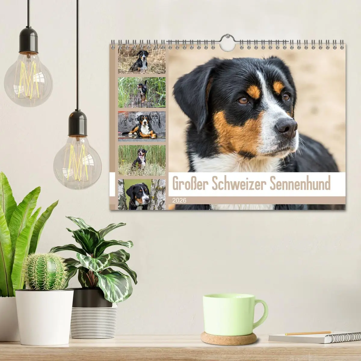 Bild: 9783457837283 | Großer Schweizer Sennenhund (Wandkalender 2026 DIN A4 quer),...
