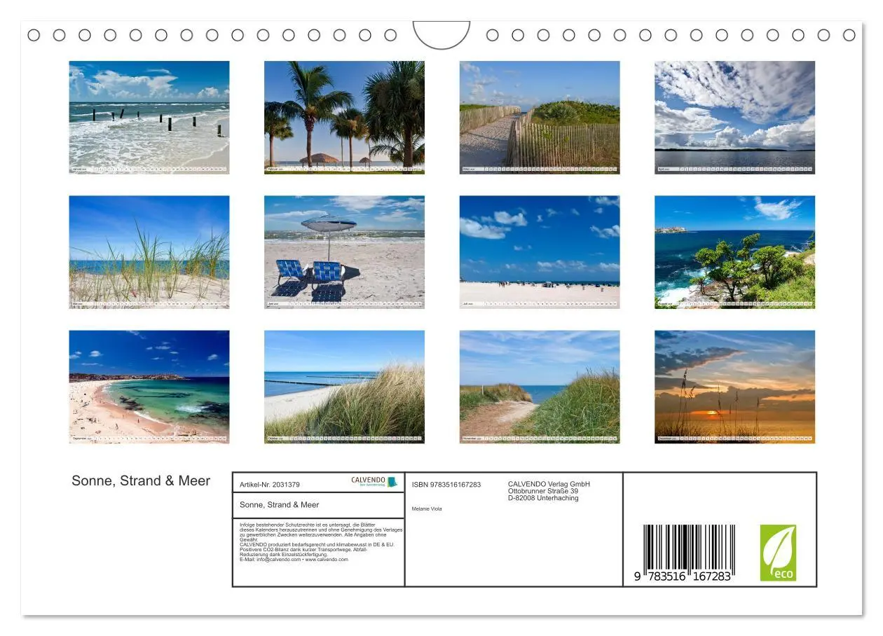 Bild: 9783516167283 | Sonne, Strand &amp; Meer (Wandkalender 2026 DIN A4 quer), CALVENDO...