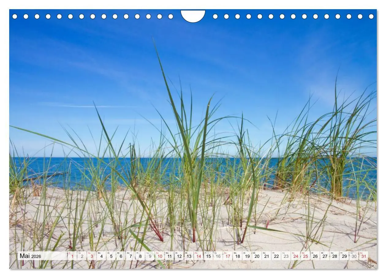 Bild: 9783516167283 | Sonne, Strand &amp; Meer (Wandkalender 2026 DIN A4 quer), CALVENDO...