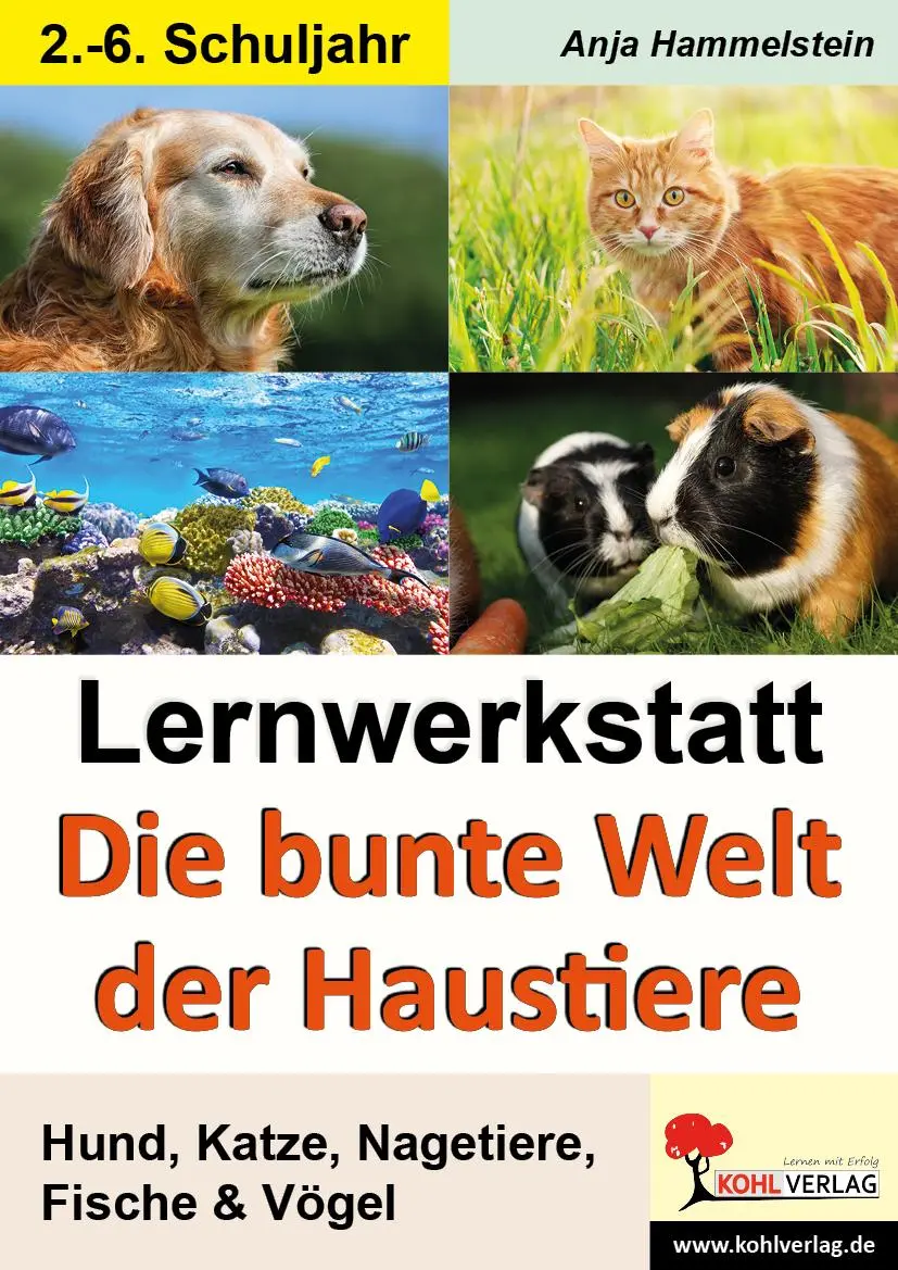Cover: 9783866327283 | Lernwerkstatt - Die bunte Welt der Haustiere | Anja Hammelstein | 2007
