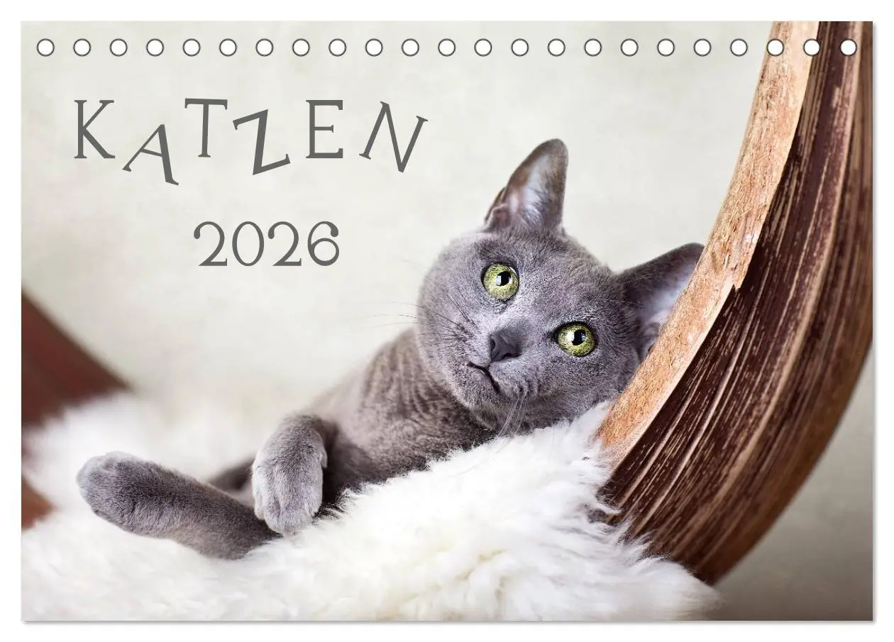 Cover: 9783516227383 | Katzen 2026 (Tischkalender 2026 DIN A5 quer), CALVENDO Monatskalender