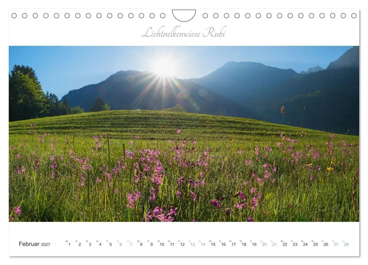 Bild: 9783516777383 | Wanderlust Oberstdorf (Wandkalender 2027 DIN A4 quer), CALVENDO...