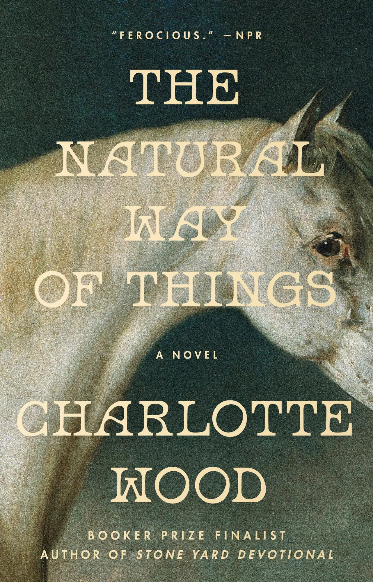 Cover: 9798217047383 | The Natural Way of Things | Charlotte Wood | Taschenbuch | Englisch