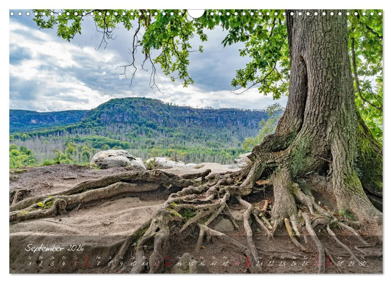 Bild: 9783457367483 | Landschaften der Sächsischen Schweiz (Wandkalender 2026 DIN A3...