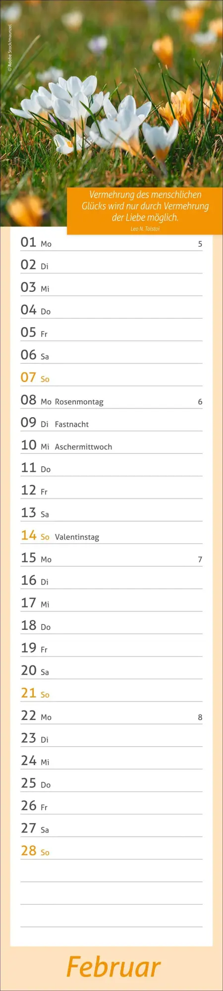 Bild: 9783756417483 | times&amp;more Tage voller Glück Langplaner 2027 | Heye | Kalender | 13 S.