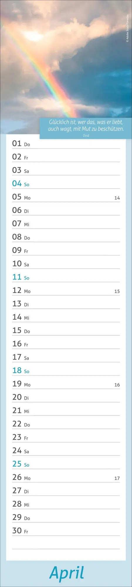 Bild: 9783756417483 | times&amp;more Tage voller Glück Langplaner 2027 | Heye | Kalender | 13 S.