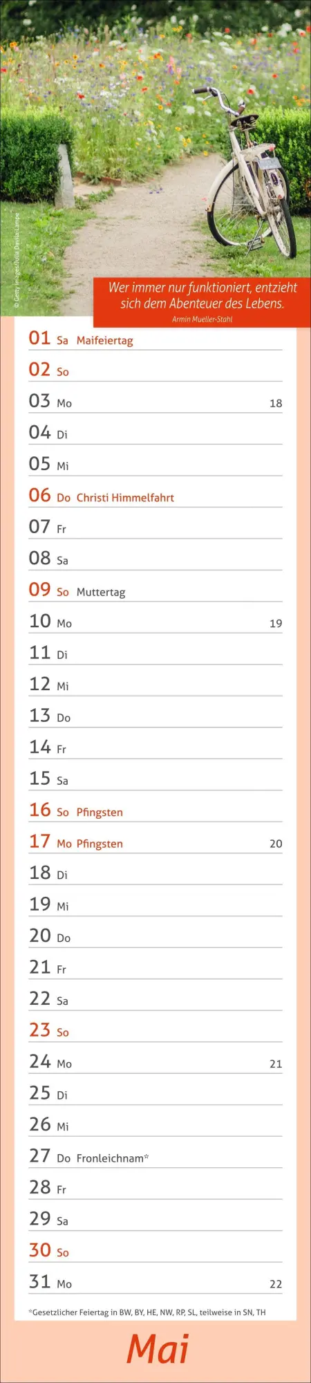 Bild: 9783756417483 | times&amp;more Tage voller Glück Langplaner 2027 | Heye | Kalender | 13 S.