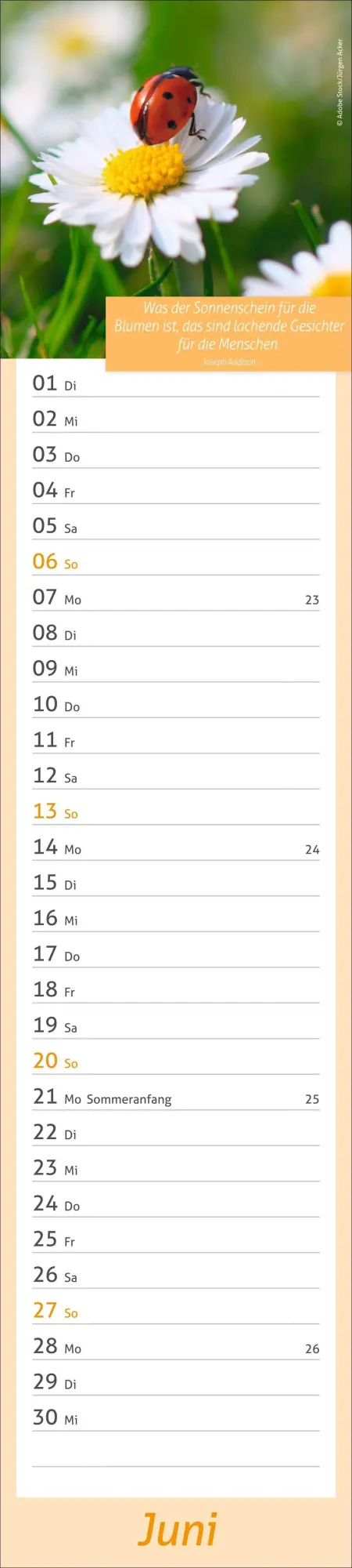 Bild: 9783756417483 | times&amp;more Tage voller Glück Langplaner 2027 | Heye | Kalender | 13 S.