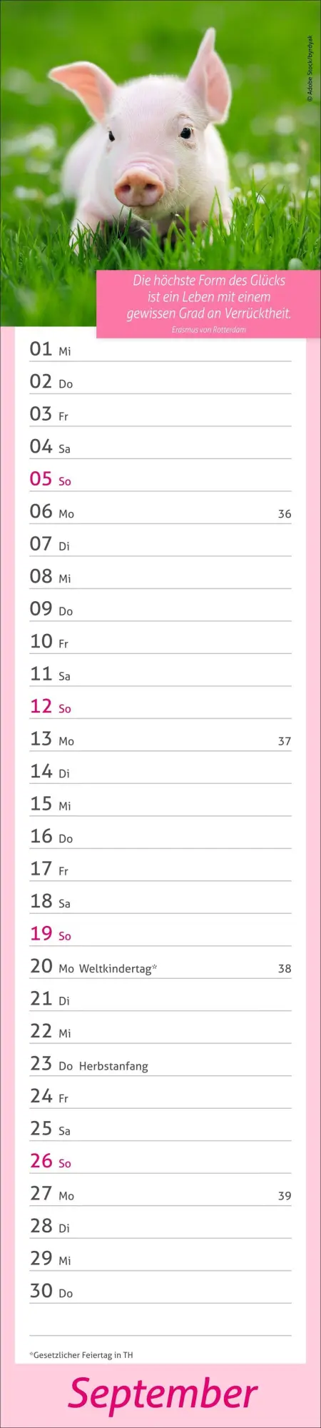 Bild: 9783756417483 | times&amp;more Tage voller Glück Langplaner 2027 | Heye | Kalender | 13 S.