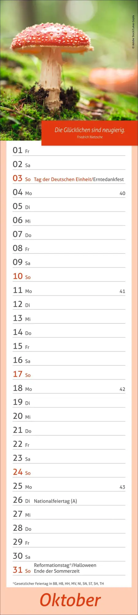 Bild: 9783756417483 | times&amp;more Tage voller Glück Langplaner 2027 | Heye | Kalender | 13 S.