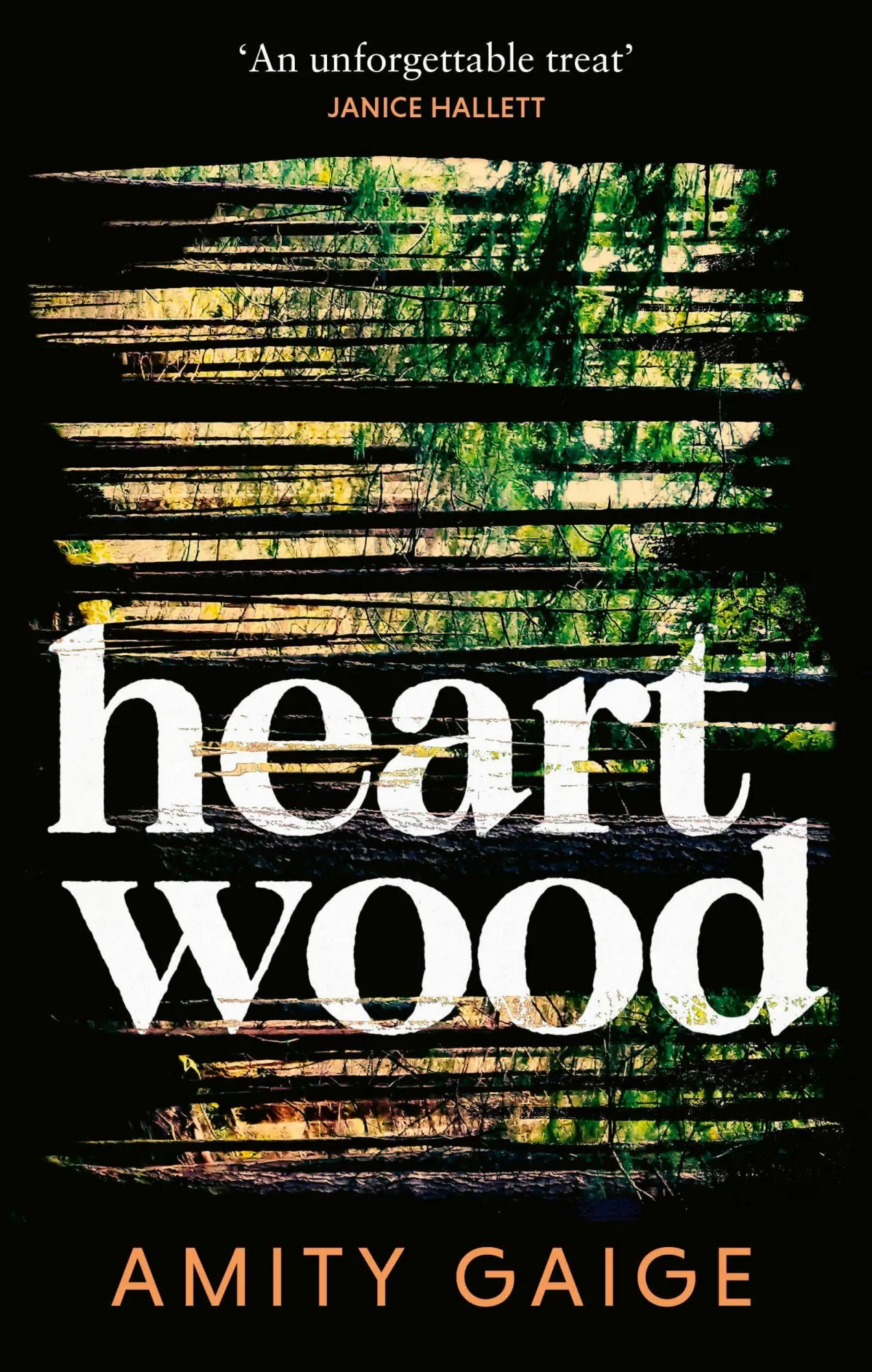 Cover: 9780349127583 | Heartwood | Amity Gaige | Taschenbuch | Englisch | 2026