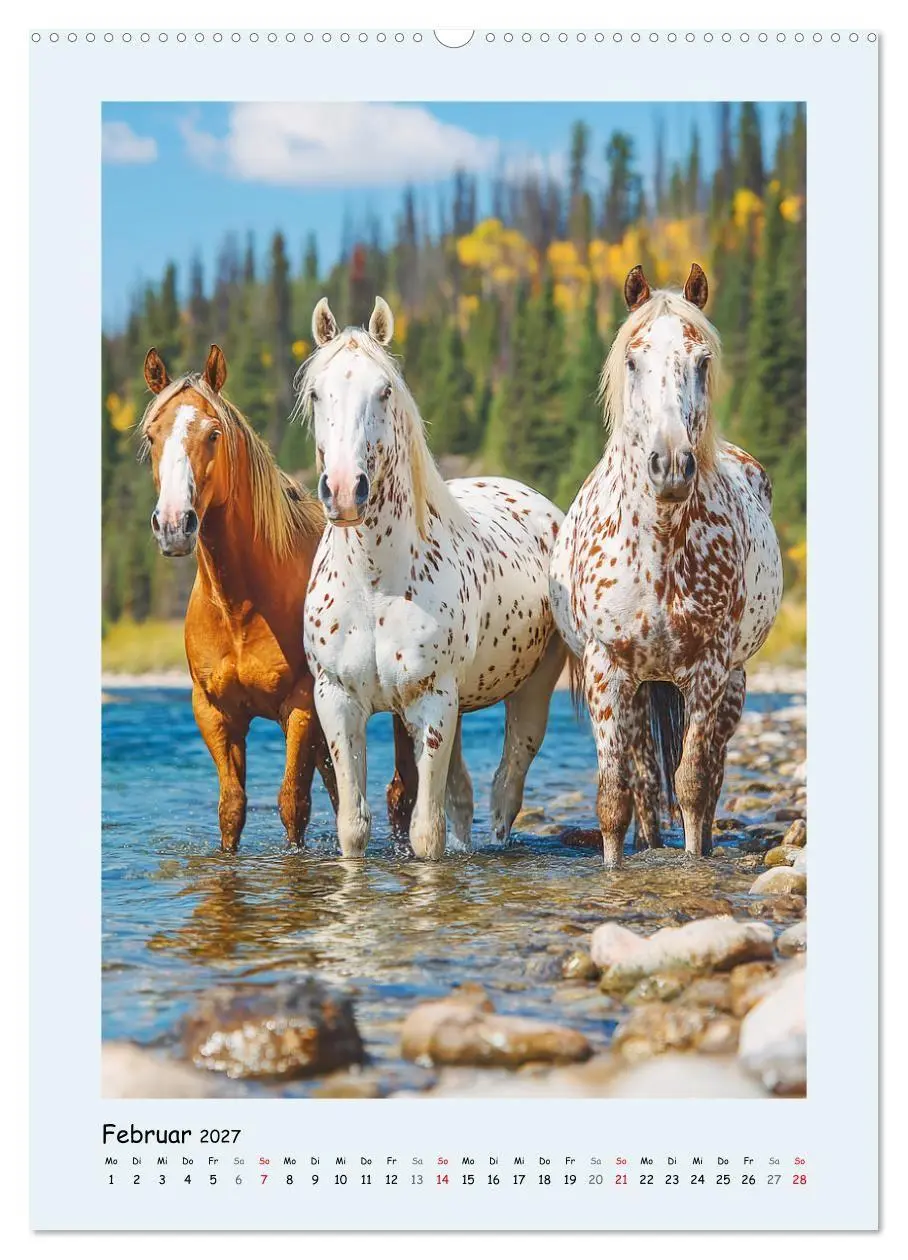 Bild: 9783516757583 | Der Appaloosa. Ein zuverlässiges Westernpferd in bunter Optik...