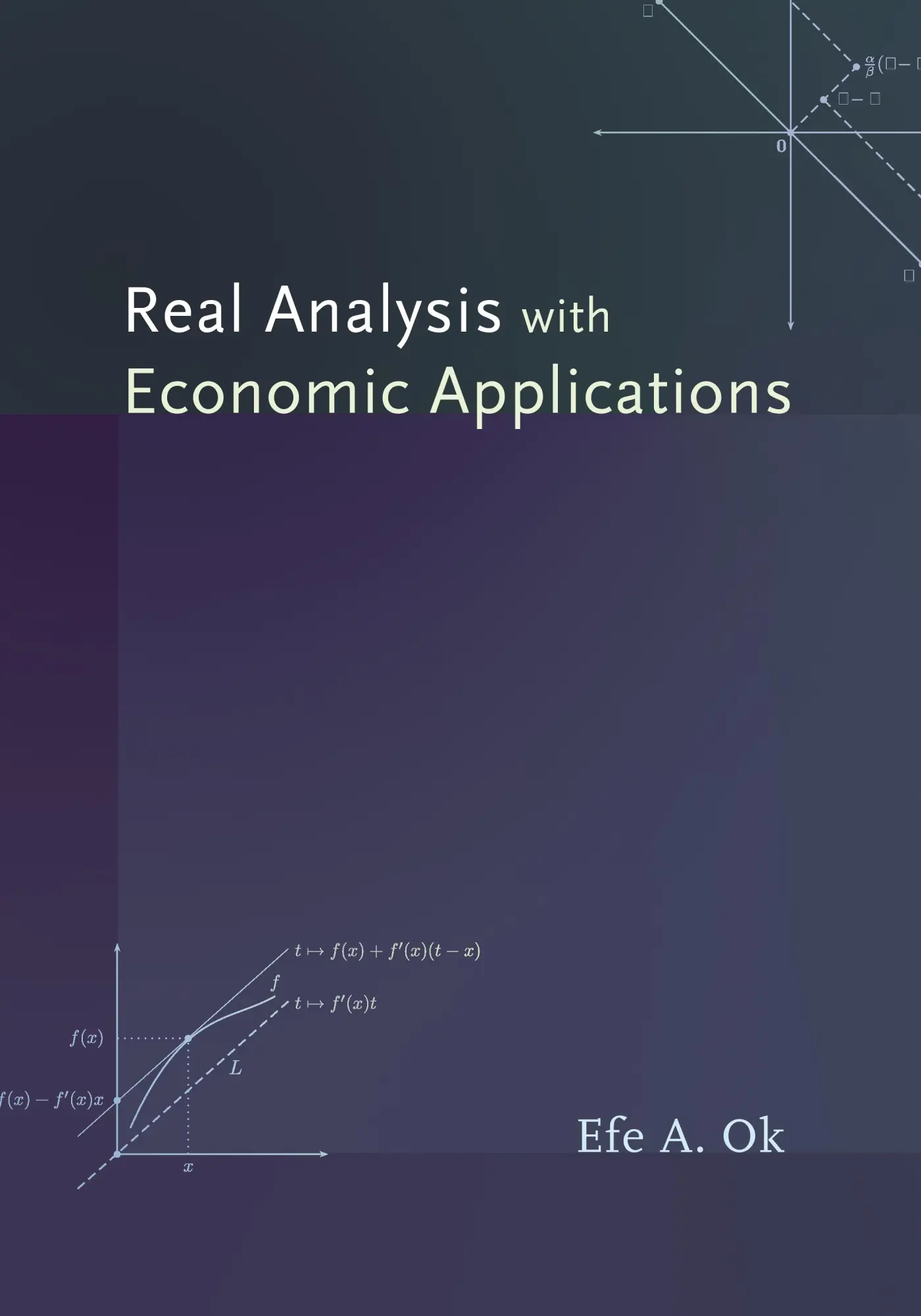 Cover: 9780691117683 | Real Analysis with Economic Applications | Efe A Ok | Buch | Englisch