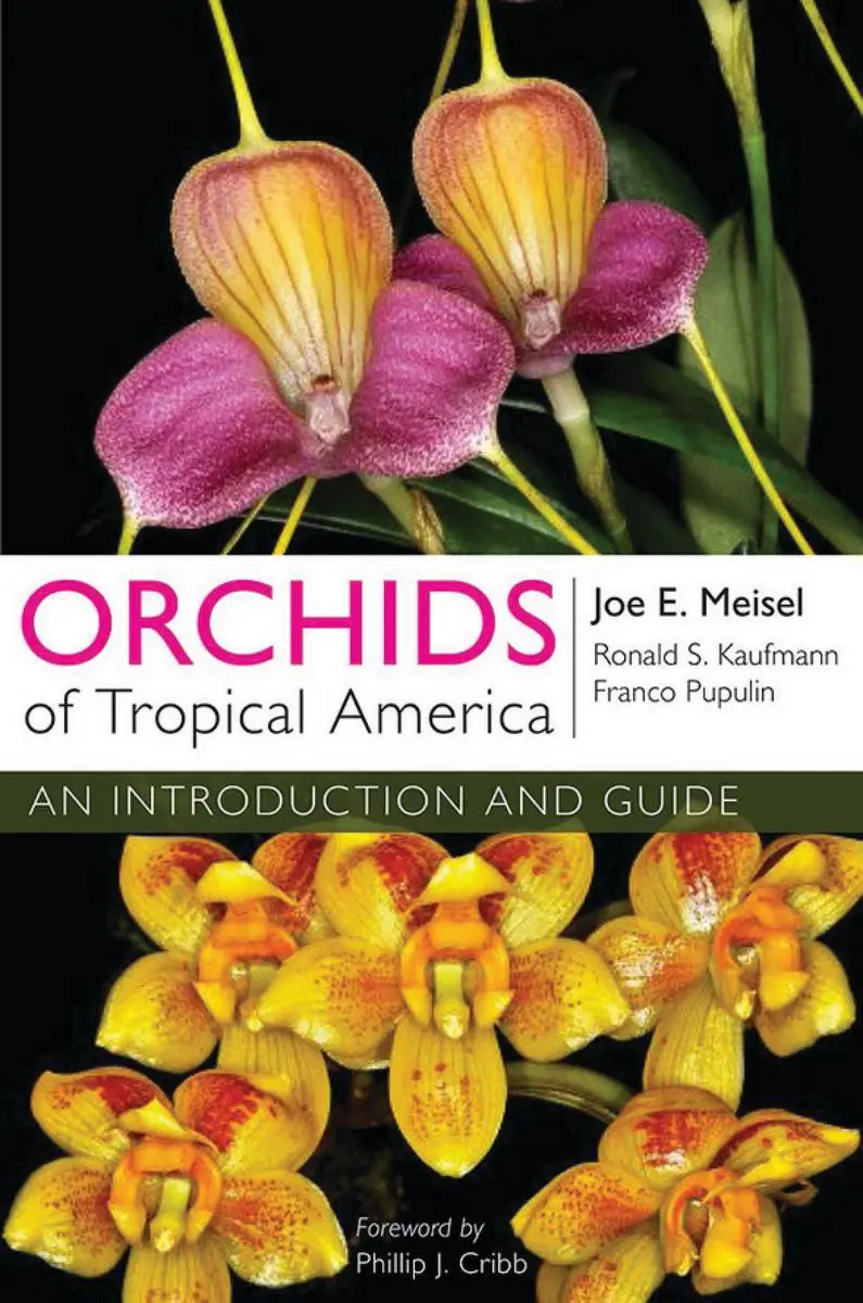 Cover: 9780801477683 | Orchids of Tropical America | An Introduction and Guide | Taschenbuch