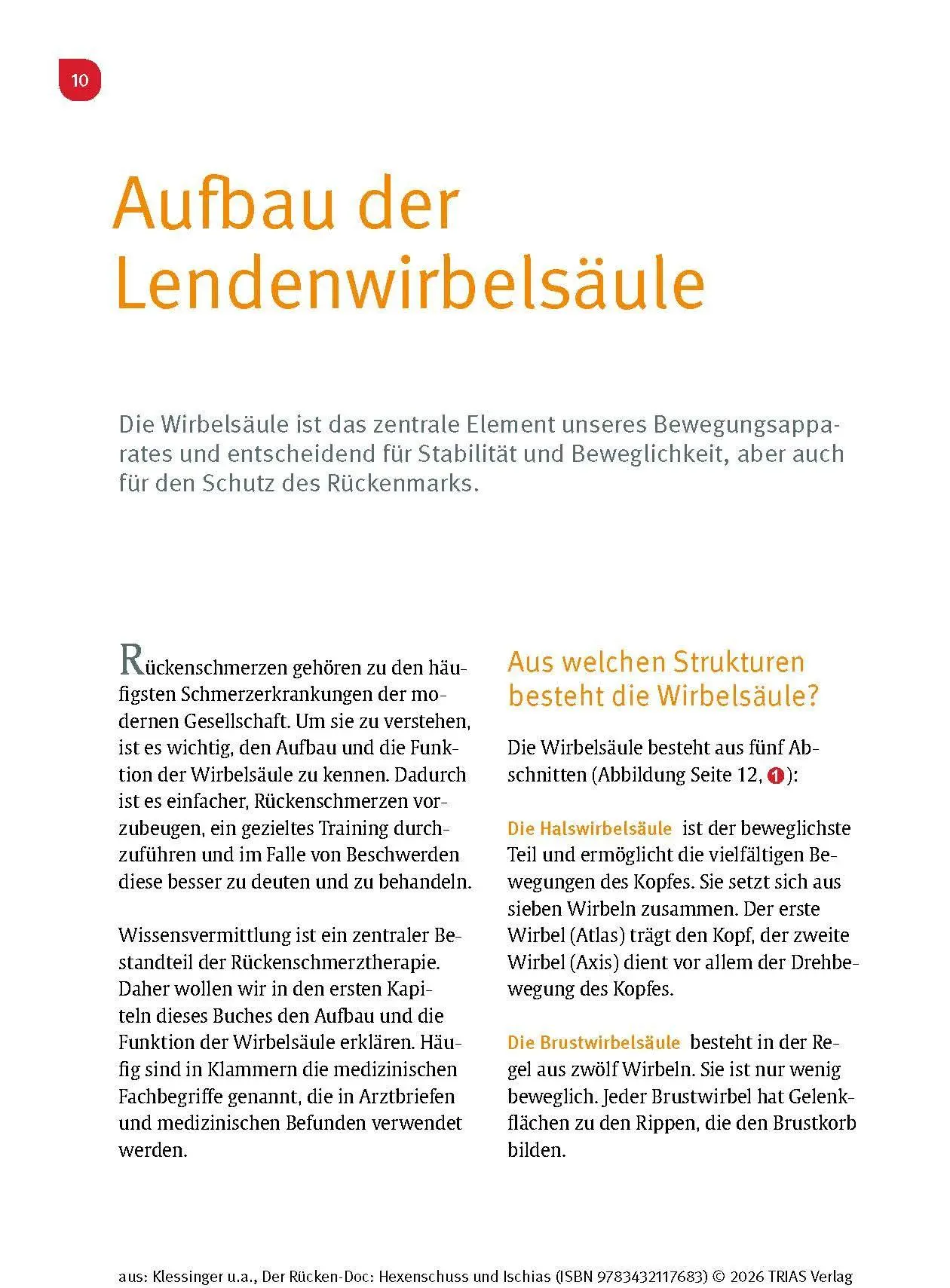 Bild: 9783432117683 | Der Rücken-Doc: Hexenschuss und Ischias | Stephan Klessinger (u. a.)