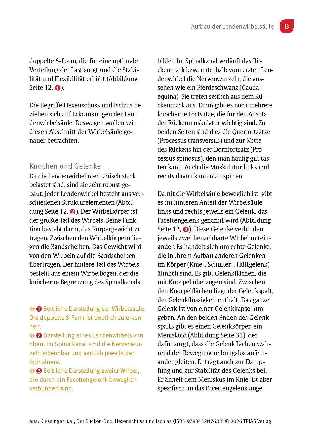 Bild: 9783432117683 | Der Rücken-Doc: Hexenschuss und Ischias | Stephan Klessinger (u. a.)