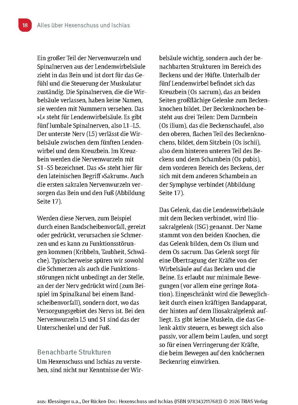 Bild: 9783432117683 | Der Rücken-Doc: Hexenschuss und Ischias | Stephan Klessinger (u. a.)