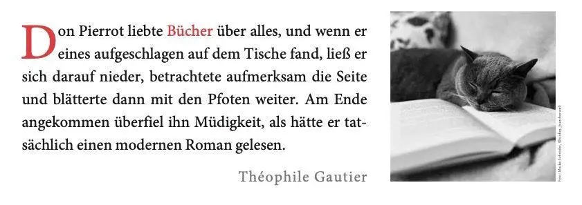 Bild: 9783895617683 | Der literarische Katzen Wochenplaner 2027 | Zweifarbiger Tischkalender
