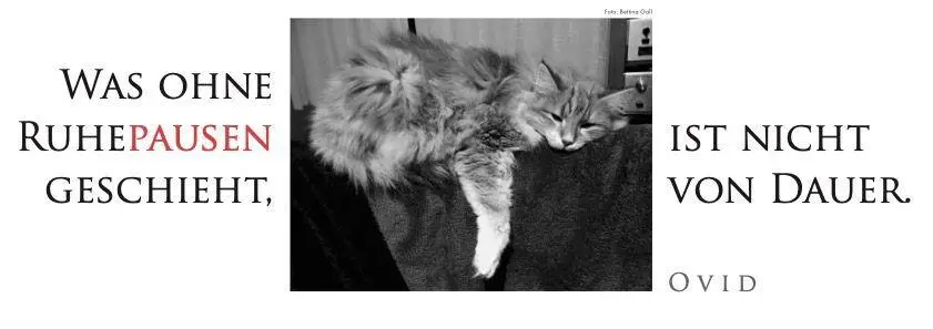 Bild: 9783895617683 | Der literarische Katzen Wochenplaner 2027 | Zweifarbiger Tischkalender