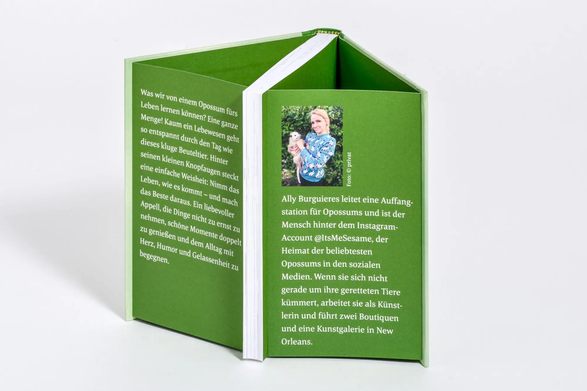 Bild: 9783442317783 | Wenn alles schiefgeht, stell dich tot | Ally Burguieres | Buch | 2026