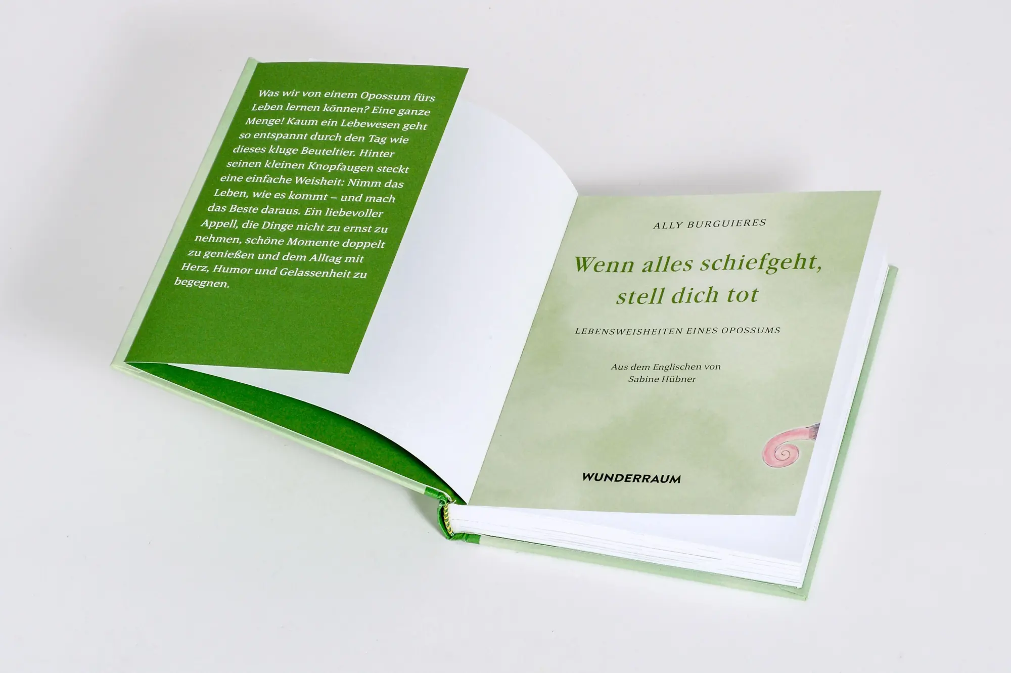 Bild: 9783442317783 | Wenn alles schiefgeht, stell dich tot | Ally Burguieres | Buch | 2026