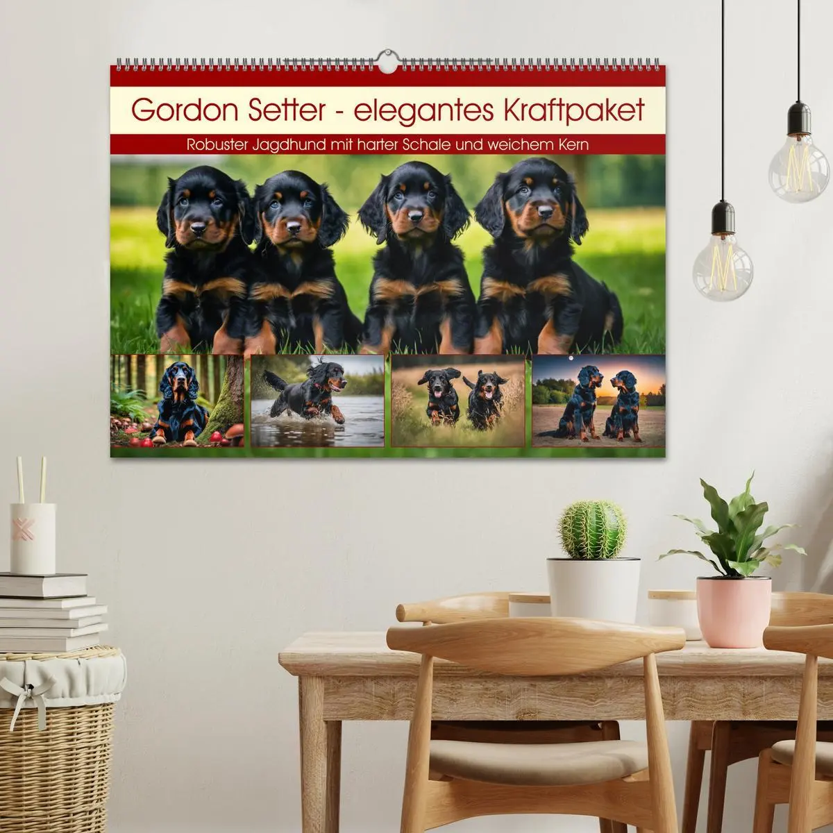 Bild: 9783457407783 | Gordon Setter - elegantes Kraftpaket (Wandkalender 2026 DIN A2...