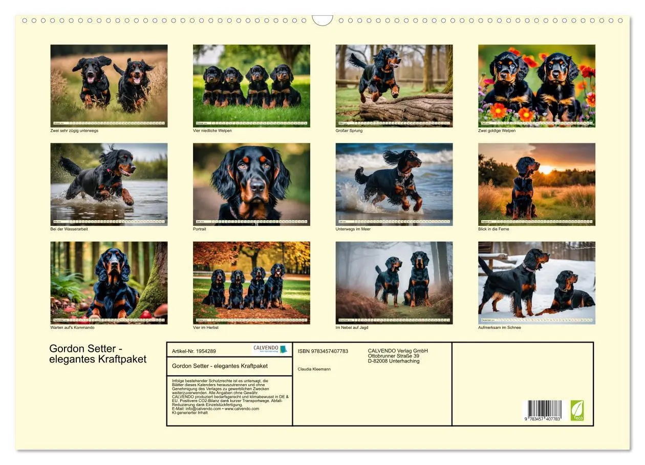 Bild: 9783457407783 | Gordon Setter - elegantes Kraftpaket (Wandkalender 2026 DIN A2...